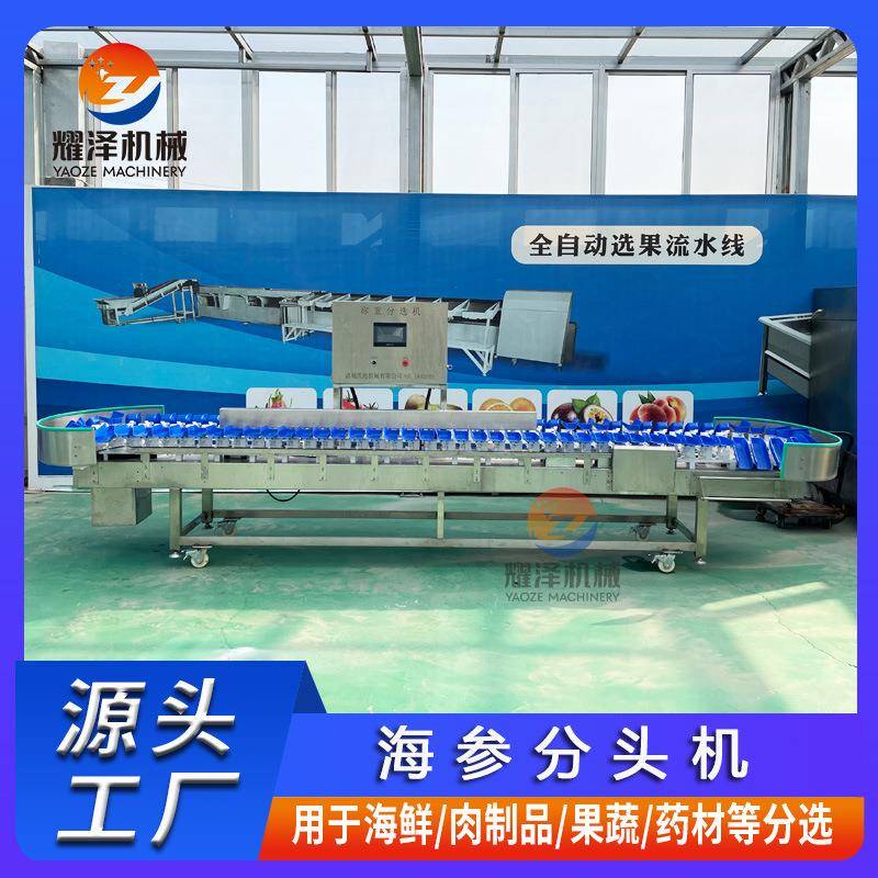 苹果桃选果机全自动分级机西红柿克重分选机桃子小型智能选果机