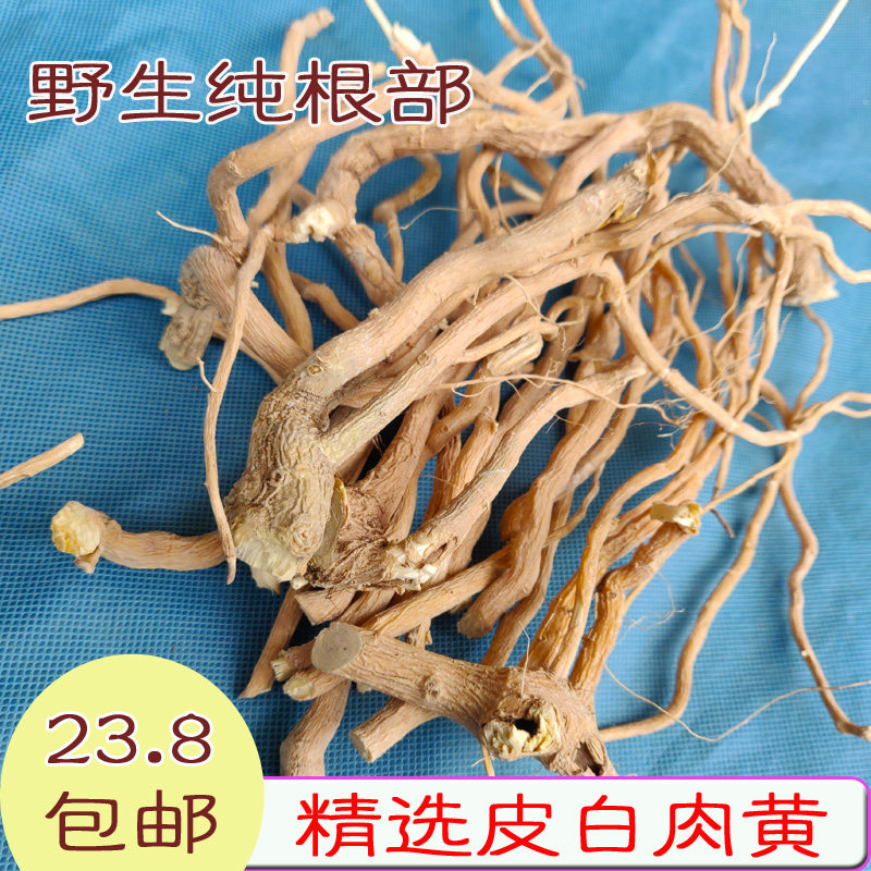 黄花倒水连黄花倒水莲 黄花远志广西观音串煲汤泡酒倒吊黄 黄花参