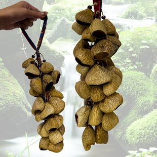 黑果布串鈴天然果壳手摇铃印尼果实铃铛串音疗乐器多拉疗瑜伽冥想