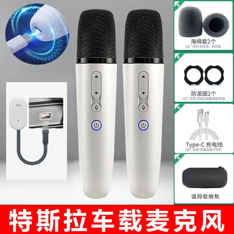 适用于特斯拉Model 3/Model Y车载无线麦克风K歌usb连接话筒雷石