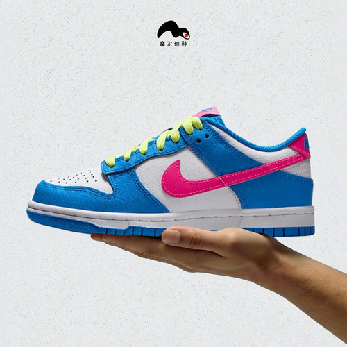 耐克 NIKE DUNK LOW RETRO男女休闲运动板鞋