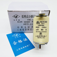 飞灵RS31 NGTC00-aR80A 690V-100kA快速熔断器63A160上海电器陶瓷