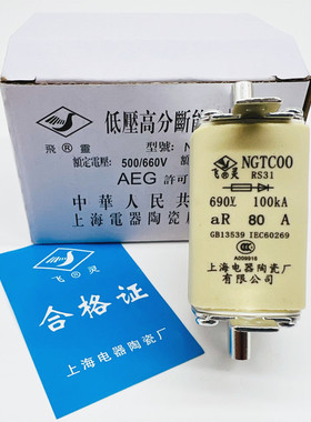 飞灵RS31 NGTC00-aR80A 690V-100kA快速熔断器63A160上海电器陶瓷