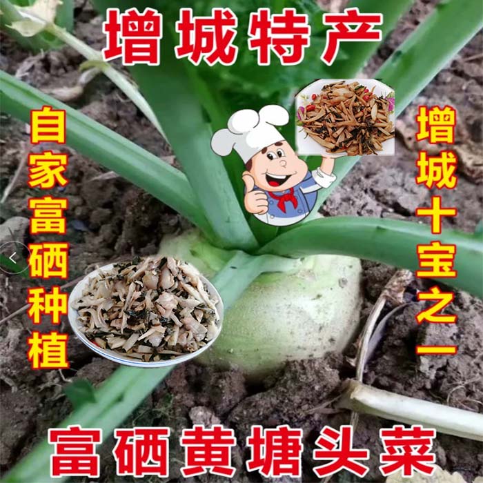 广东增城特产正果黄塘头菜自家农产品咸菜榨菜下饭菜产地直销10斤 水产肉类/新鲜蔬果/熟食 其它 原图主图