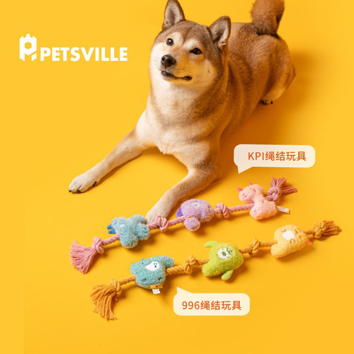 PETSVILLE派思维绳结互动狗玩具