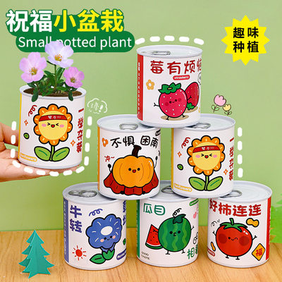 儿童励志种植小盆栽 小学生种植盲盒礼品创意手工DIY植物罐头盆栽