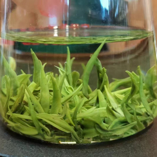 湖南特产2026年新茶常宁塔山茶特级一芽一叶125克罐装