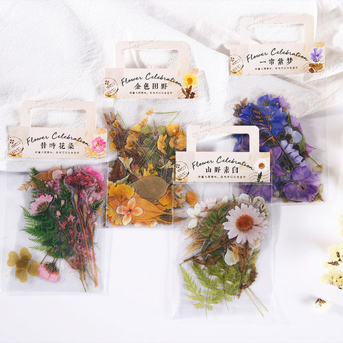 贴纸仿干花防水月季雏菊蕨类花卉
