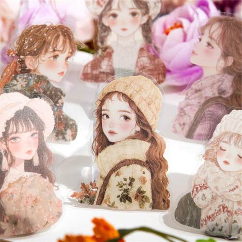 插画风复古人物女孩pet手账贴纸