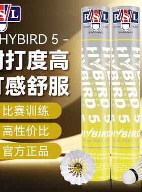 亚狮龙HYBIRD5耐打稳定羽毛球