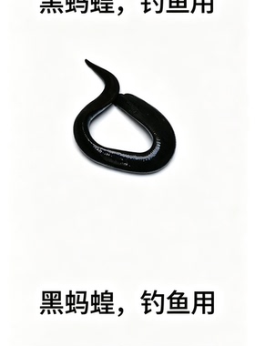 黑色旱蚂蝗黑虫，钓鱼用黑色旱蚂蝗活鲜