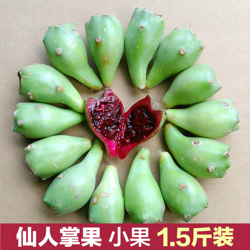 半岛鲜生 纯野生仙人掌果新鲜水果 绿皮红心小果仙人果包邮现摘