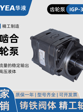 华液HOYEA 注塑机内啮合齿轮泵液压伺服油泵 IGP-3-32/40/50/64