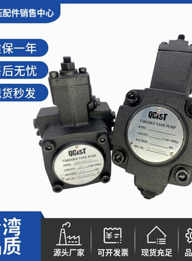 QCIST秦川奇斯特 自动变量叶片泵 VVP20B/55 VVP30B/55 VVP40B/70