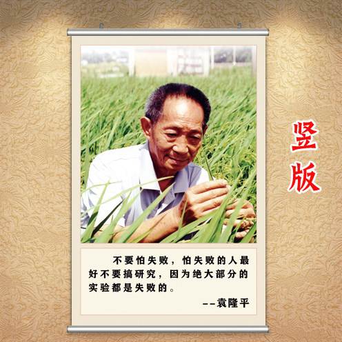 科学家海报袁隆平画像名人名言教现代装饰画