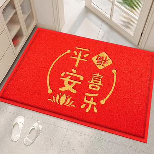 进门地垫大门口丝圈脚垫家用入户门出入平安门垫室内地毯门外耐脏