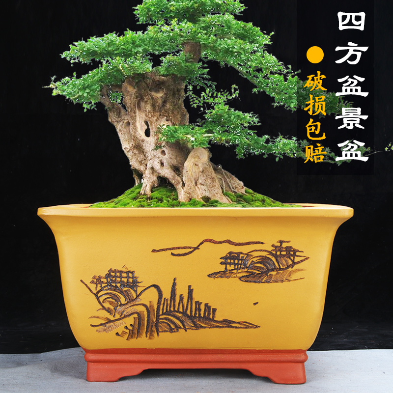 紫砂中国风超大四方陶瓷盆景盆