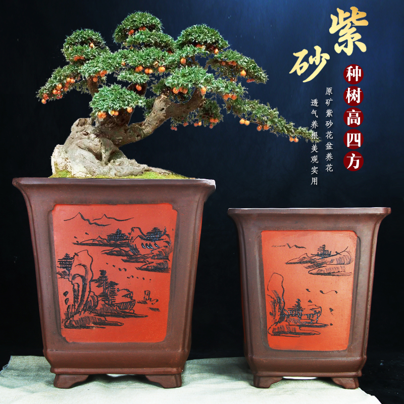 紫砂中国风高四方兰花盆陶瓷花盆