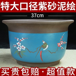 绿萝多肉透气盆栽盆景陶瓷盆 包邮 点彩特大口径紫砂兰花盆特价 清仓