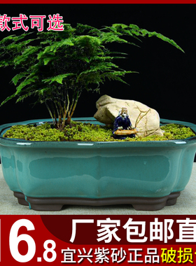 宜兴紫砂花盆特价清仓多肉桌面花卉绿植盆器陶瓷绿植透气简约釉盆