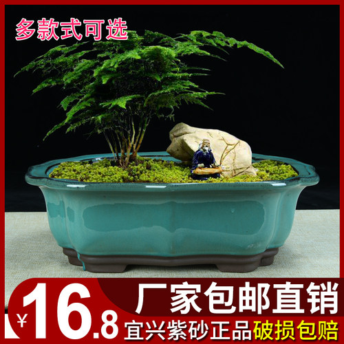 透气简约釉盆紫砂多肉桌面花卉
