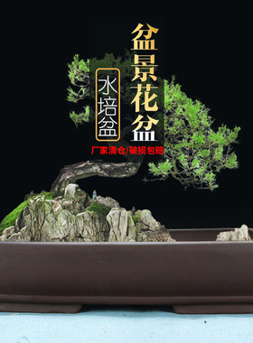 紫砂中国风无孔水培盆景盆
