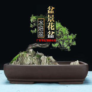 无孔水培紫砂花盆特价清仓包浅盆绿植绿松榕树假山树桩陶瓷盆景盆