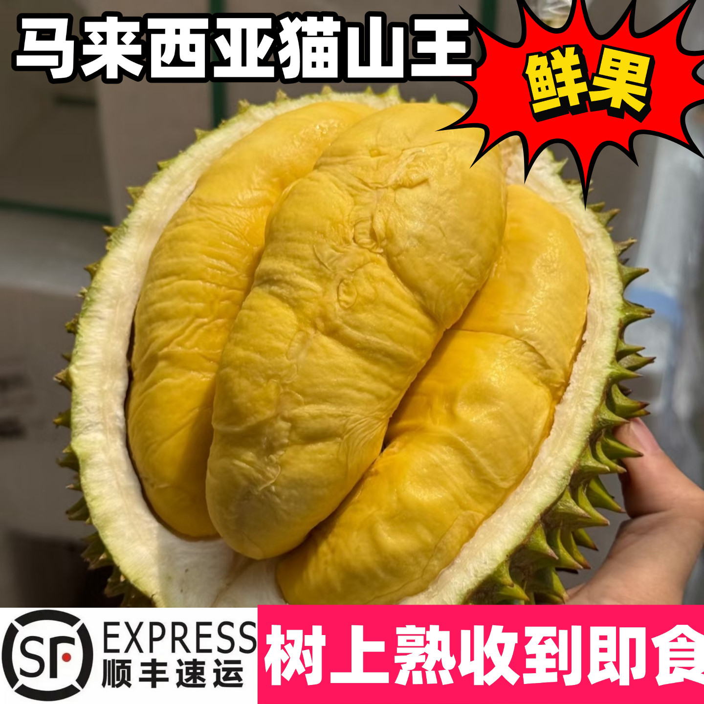 马来西亚猫山王榴莲鲜果D197顺丰图片