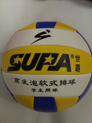 Ballon de volley - Ref 2008039 Image 3