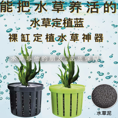 鱼缸水草定植篮定植环造景装饰