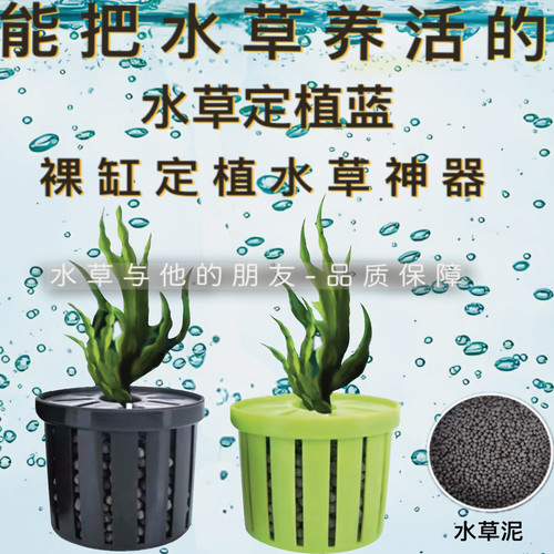鱼缸水草定植篮定植环造景装饰