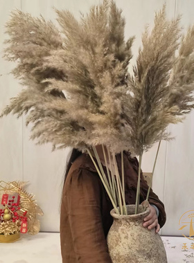 灰色芦苇花大芦苇干花摆件艺术文艺田园侘寂风民宿橱窗装饰