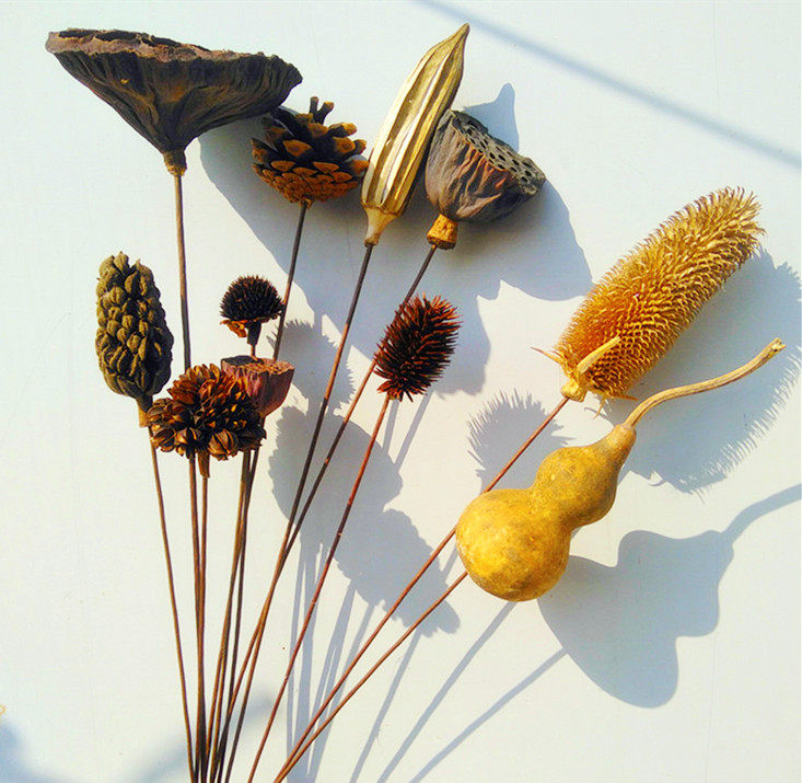 禅意莲蓬木棉花风干插花棉花干花花束装饰家居摆件小清新拍照道具 一粟花艺 淘优券