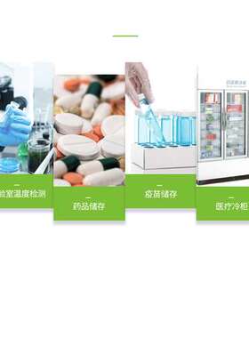 温度记录仪DWL-11E 冷藏箱阴凉柜疫苗箱检测仓储 声光报警温度计