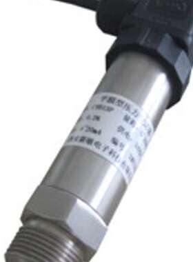 平膜型压力变送器/泥浆压力变送器   XRS-CYB13P