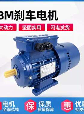 意大利BBM刹车电机 FEBM80B4/0.75KW 进口刹车马达