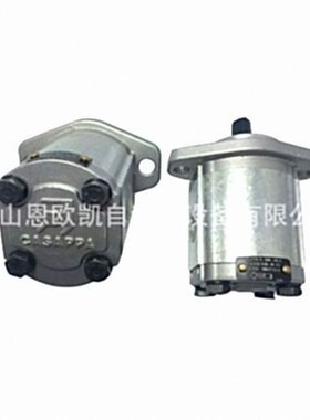 供应Casappa齿轮泵PLP10.8D0-30S0-LGD/GD-N-EL-FS