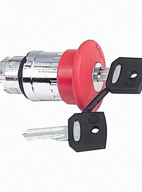 法国原厂全新XB5FW35G5 XB5FWCUST02 XB5RMD04优惠