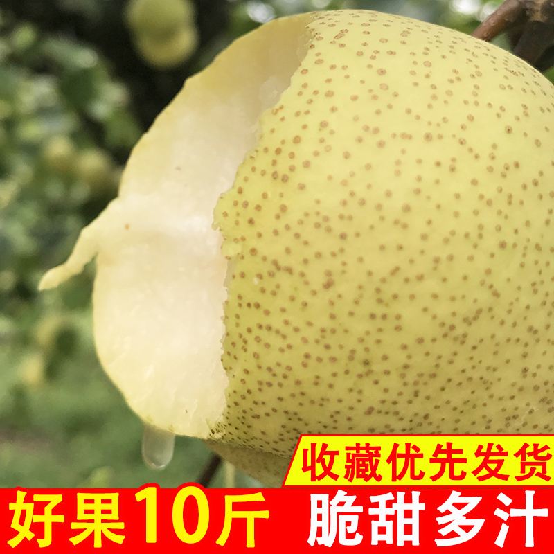 安徽砀山梨10斤梨子水果包邮新鲜整箱当季汤皇冠梨应季胜雪梨香梨