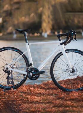 ROLLINGSTONE滚石PROBING探索者碟刹公路整车定制46.5 49 52 55CM