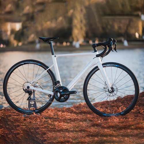 ROLLINGSTONE滚石PROBING探索者碟刹公路整车定制46.5 49 52 55CM