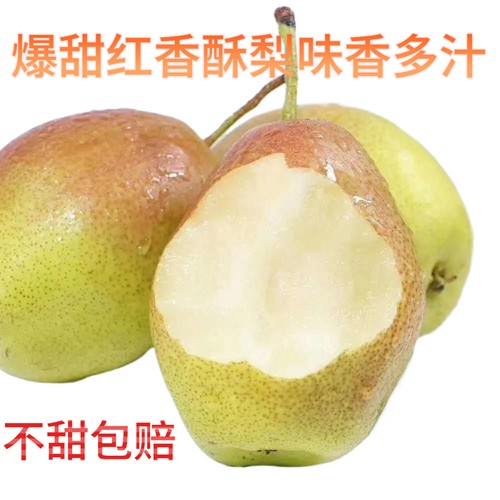 正宗河北赵县红香酥梨当季新鲜