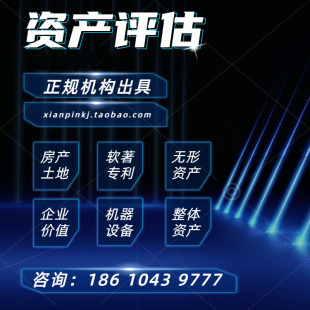 资产正明移民房产报告固定无形专利商标著作权实缴评估