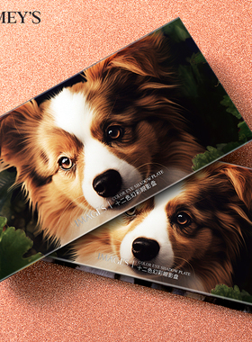 十二色眼影易上色眼妆柔雾自然立体便携学生女CC