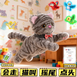 毛絨充電小 電動玩具貓走路會叫仿真女孩兒童飛鳥鸚鵡女孩2025新款