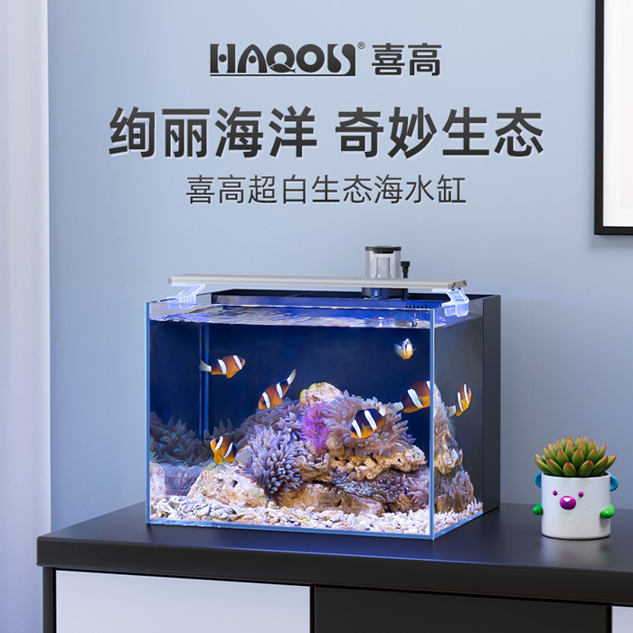 喜高客厅玻璃海水养鱼超白生态好
