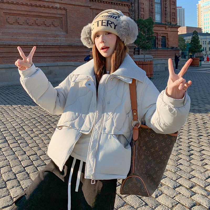 女装/女士精品羽绒服其他/other学院风白鸭绒2025年冬季常规常规