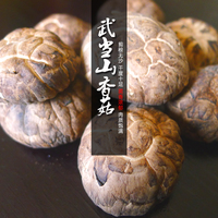 武當(dāng)山珍丹江口椴木種植花紋香菇