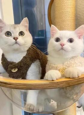 猫咪衣服可爱保暖羊羔毛马甲背心秋冬款布偶蓝猫幼猫宠物冬装