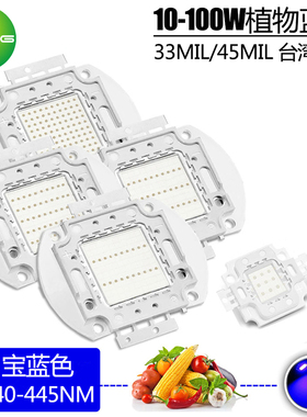 LED大功率兰灯10W20W50W100W蓝色445nm植物生长灯440nm育苗果蔬